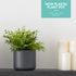 14cm Round Plant Pot Set of 2 - Matt Grey